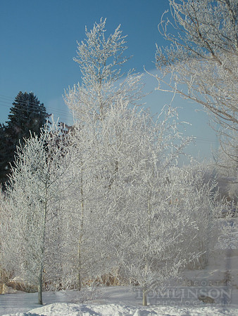 IMG_7365.JPG