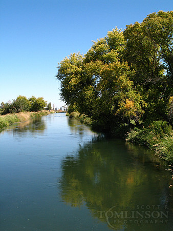 IMG_7006.JPG